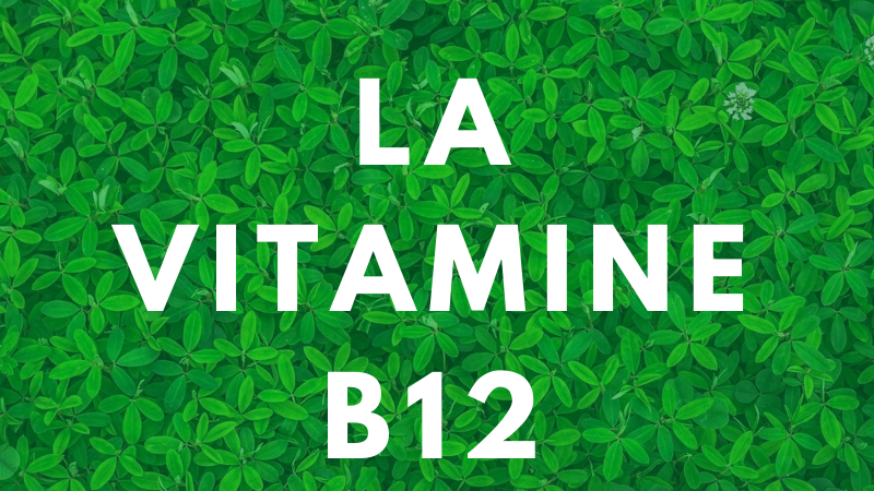 vitamine B12