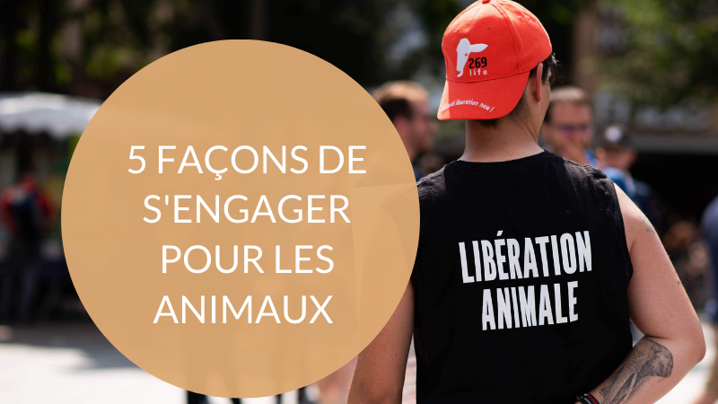 s'engager pour la cause animale